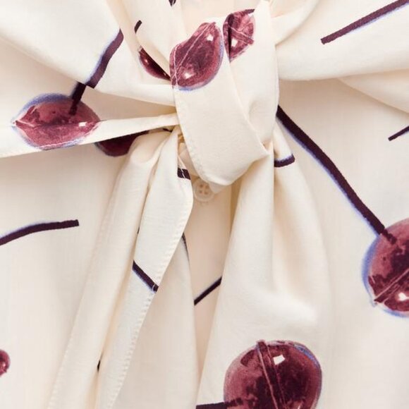 ZARA SS24 PRINTED POPLIN SHIRTDRESS ZW COLLECTION 3089/144 019/320 - Picture 10 of 11